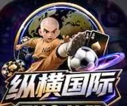 纵横国际